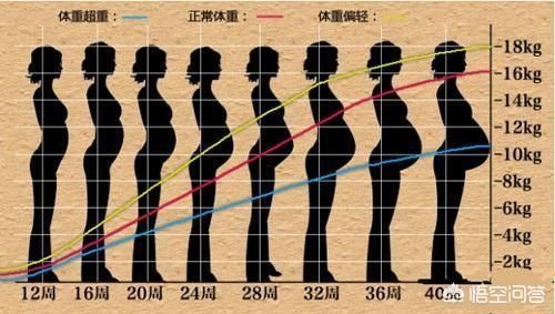 肚子|有的人怀孕6个月之后,肚子长的很快,为什么?