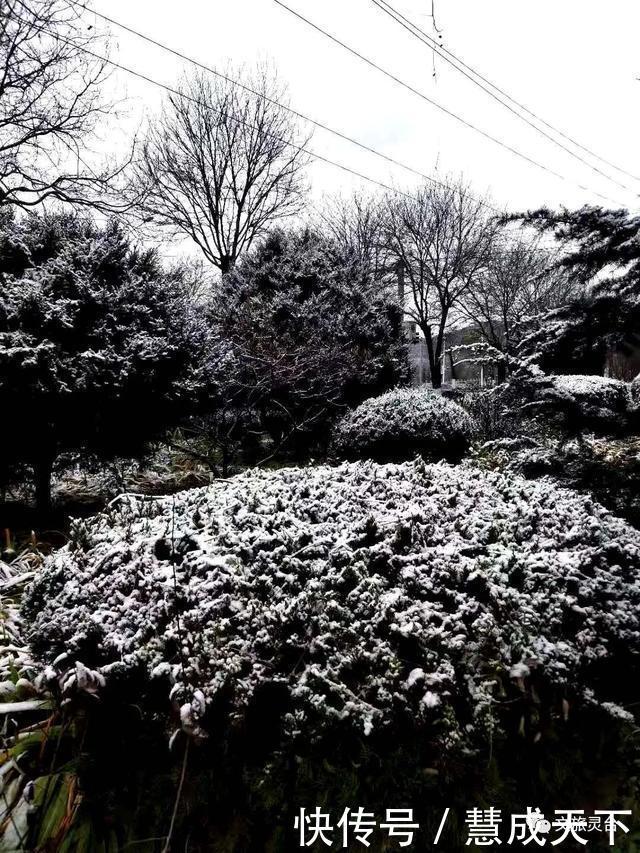 相约|相约灵台的冬季