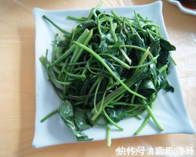 野草|药食两用的传统草药,在国内少有人知,在日本却被人们大力追捧