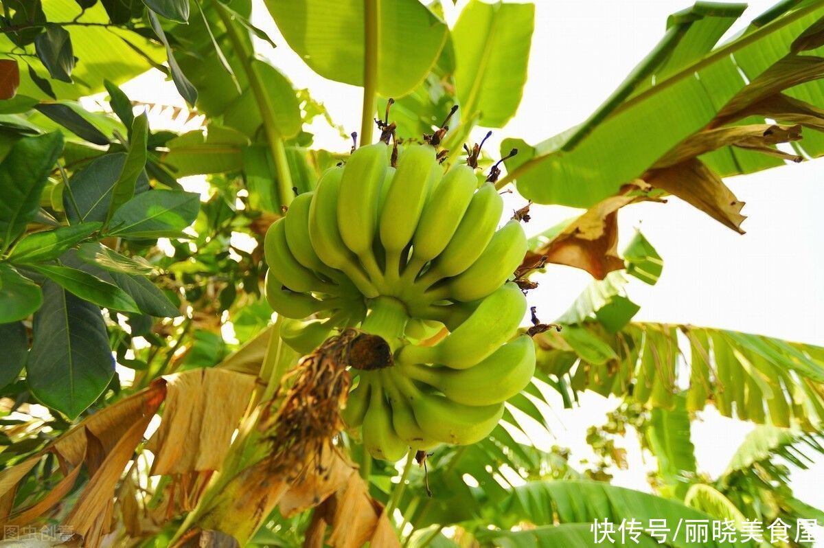 低热量|入秋后，遇这6种碱性水果别手软，低热量高营养，过了秋天就少了