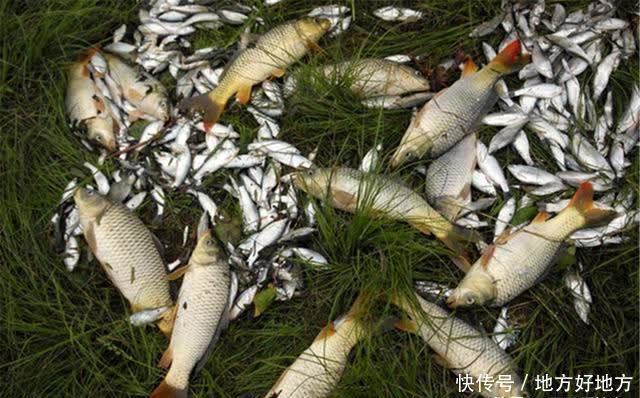 子线|调漂方法大全:图解无子线调漂,小鱼闹窝、流水走漂,就用这方法