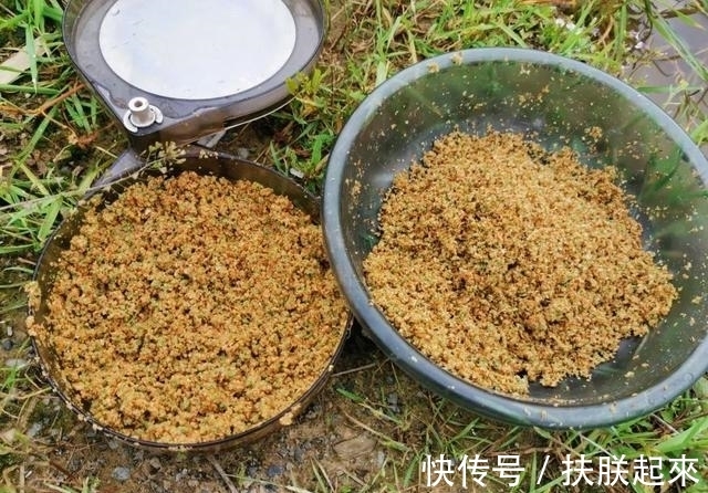 雾化|野钓不打窝的2种高效钓法,学会后上鱼总是快人一步