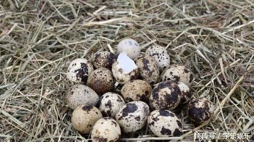 抗衰老|女性想让衰老来得慢一些，请记住这“五要诀”，比用保养品还要好