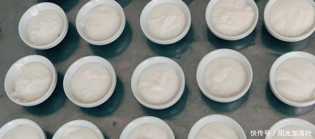 小麦粉和米粉可以用酵母发起来蒸烤,为什么!