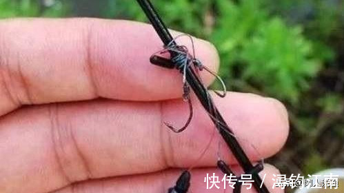 抛竿|台钓中为什么要用双钩？双钩有什么好处？单钩行不行？统统为你解答