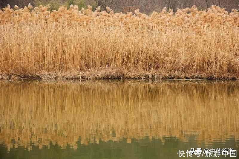 中原第一湖|“中原第一湖”南湾湖丰富民俗活动炒热景区旅游