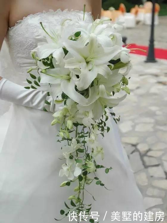 马蹄莲|4种花是婚礼常见花,随便选一种都好看,开了浪漫又唯美