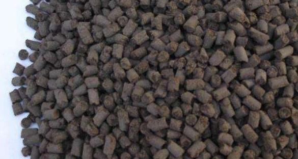 茉莉花秋天怎么养教你一招,开花比夏天还多