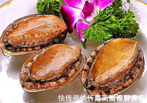 鲍鱼|聪明人最爱吃4种食物,排毒养颜、排毒素清,有益健康