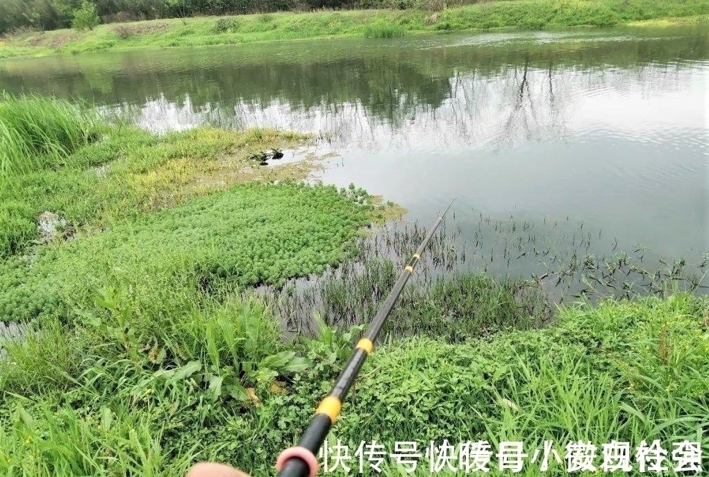 飞铅|野钓时调四钓二与调平钓二,哪种调漂方法更好?