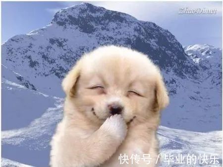 |年度幽默段子:《小三盗墓》