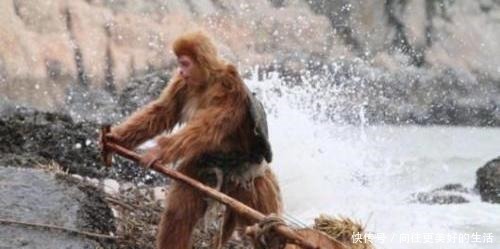 猪八戒|《西游记》中,猪八戒有发挥过和其“天蓬元帅”相称的神通吗