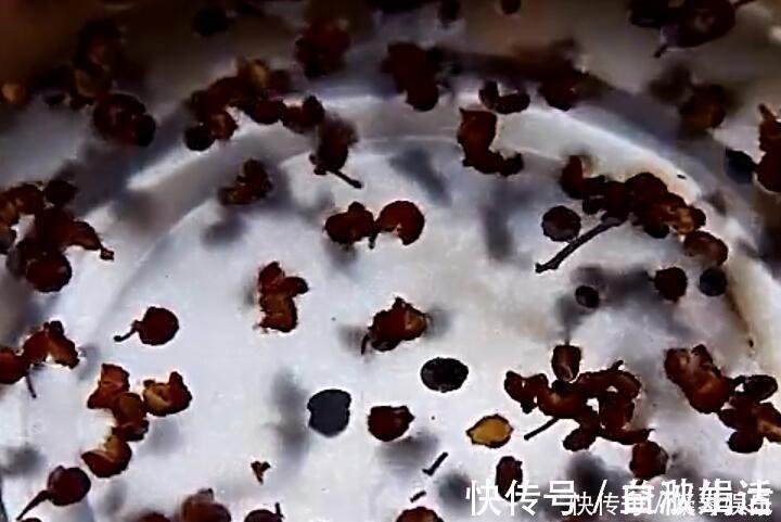 肉馅|白菜猪肉饺子，调馅时这样调，饺子鲜美多汁，比三鲜饺子都鲜