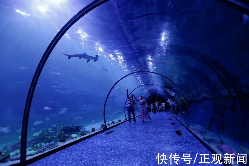 国家水族馆|中东地区最大水族馆——阿布扎比国家水族馆正式开馆