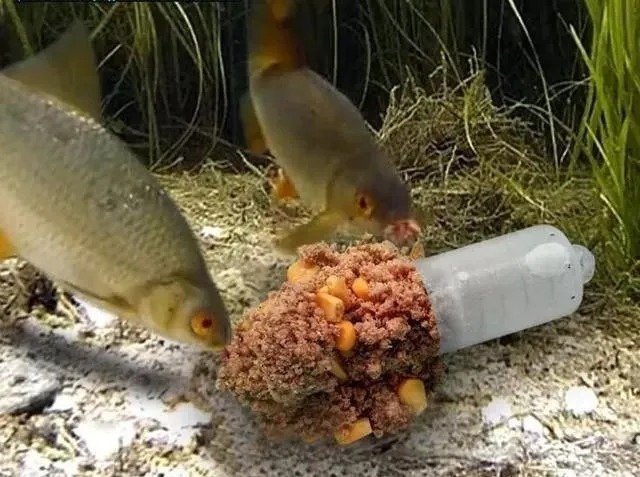 钓鱼大咖说漏嘴,天冷钓鱼不用蚯蚓!用这种“小物”,每次几十斤!