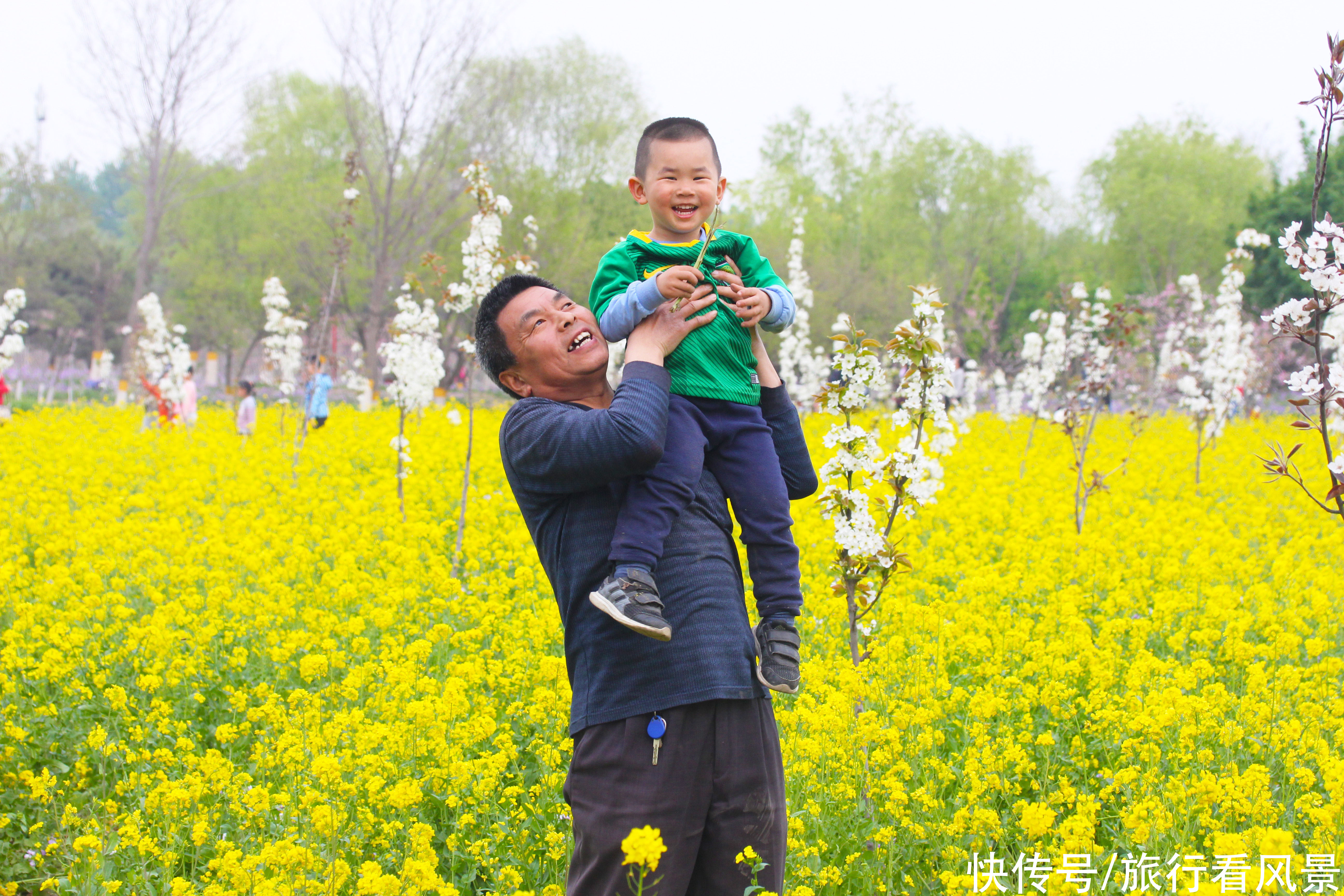 北京最美油菜花海，在这个百花盛开的免费公园，随手一拍就是大片
