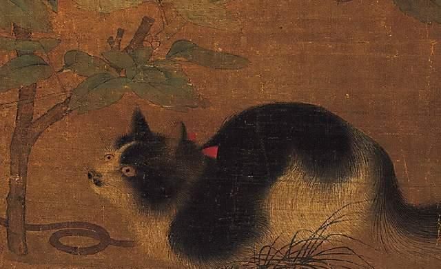 北宋时期|900年前的一幅古画,牡丹花下一只猫,旁边还藏着一条蛇