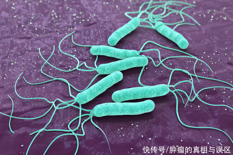 致癌物|感染8亿中国人的1类致癌物，不仅致癌，还可能抑制免疫治疗效果