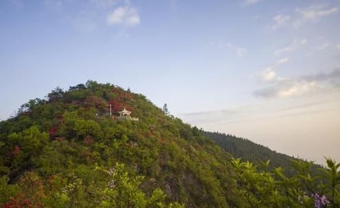 杜鹃花开，染得群山一片红