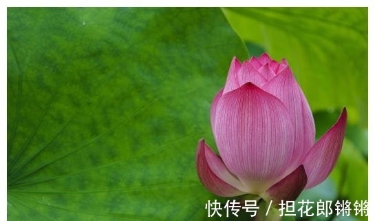 属相|进入9月初,4属相运势上涨,财源广进,事业进步,日子美满