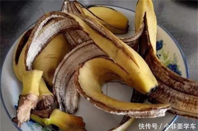 没想到!“香蕉皮”竟然有如此作用,养的君子兰,大棵又养眼!