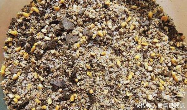 冬季钓鲫鱼,特效窝料和饵料配方汇总,助你大鲫鱼连竿上!