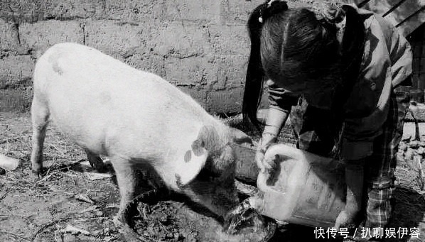 多么|二战时期,日本人有多么“疯狂”?看到猪吃的东西后,不惜拿枪换