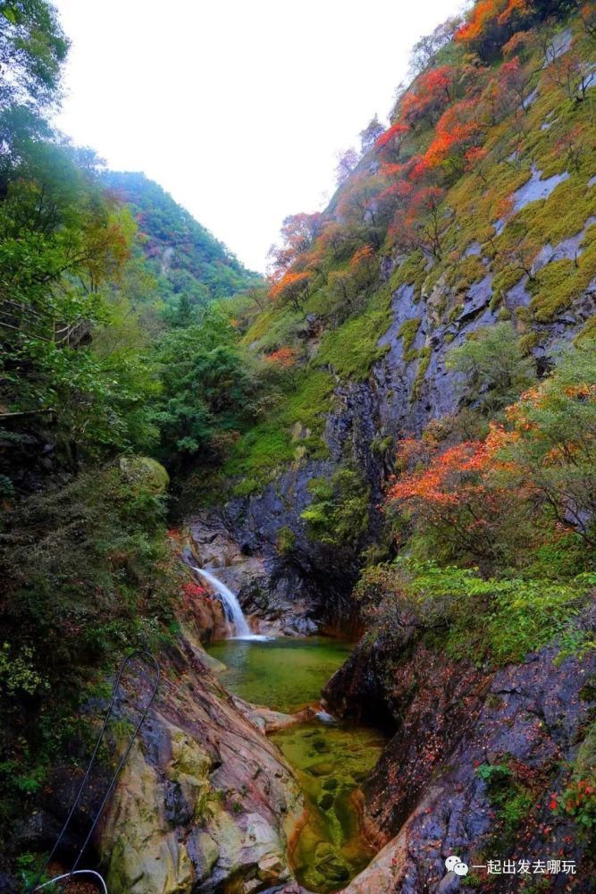 二日游|老君山，追梦谷赏秋二日游