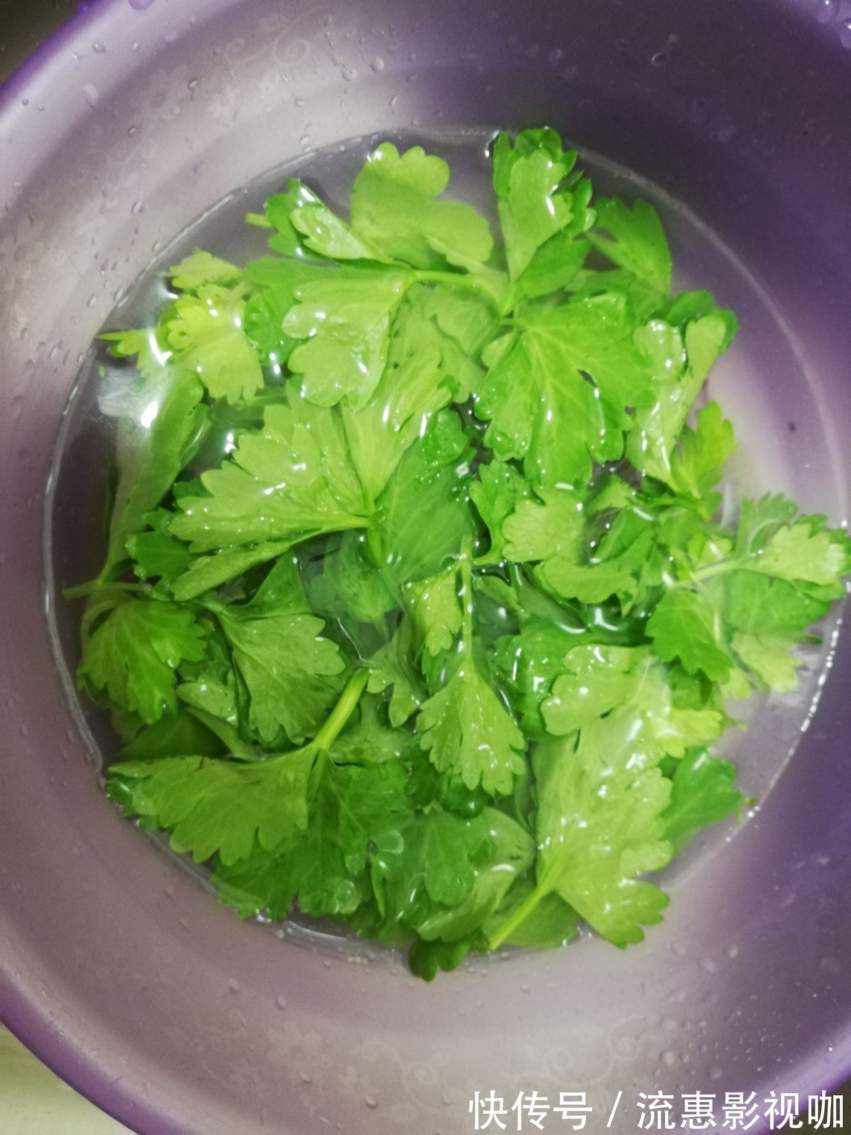 它被誉为“长寿菜”，2元1把，营养高味道香，常吃便秘少视力好