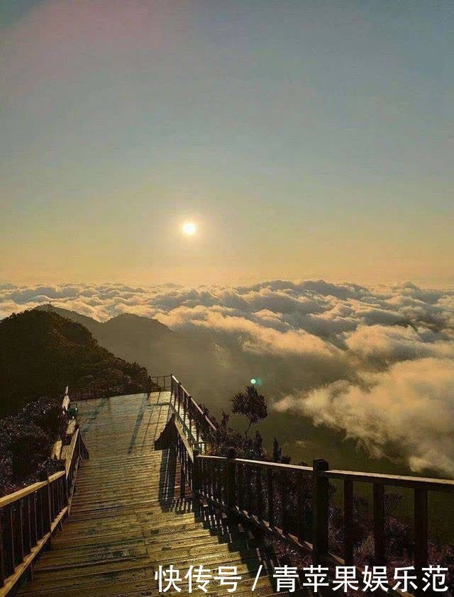 生物多样性丨这片热带雨林告诉你，海南有多美！