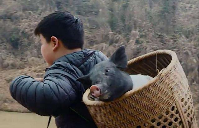 丁当 杜华对儿子太狠,送完《变形计》又送少林寺,穿山寨成最惨太子爷