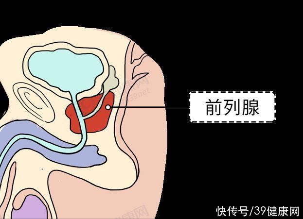 前列腺液|奉劝一句：想保养好前列腺，这5件小事别漏做，坚持下来有效果
