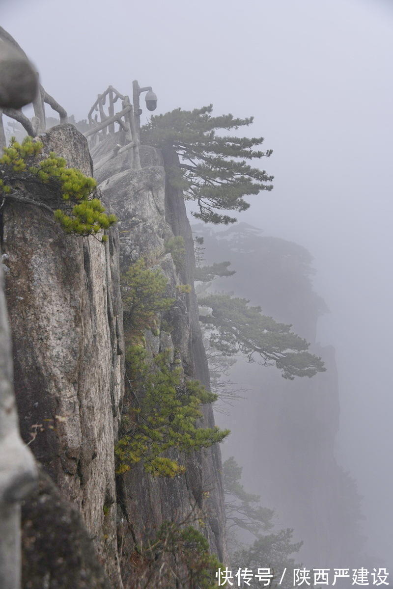 黄山|薄云浓雾游黄山宛若仙境【严建设】