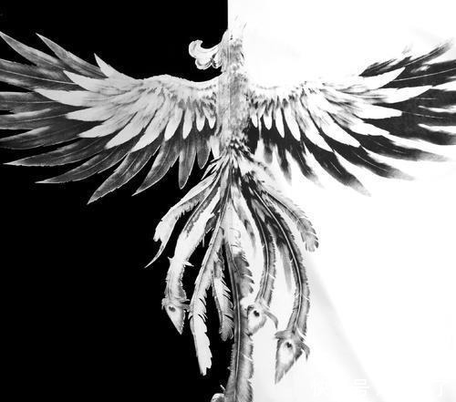 魂兽|斗罗大陆4种特殊的鸟类魂兽,一种不能突破十万年,一种为神兽