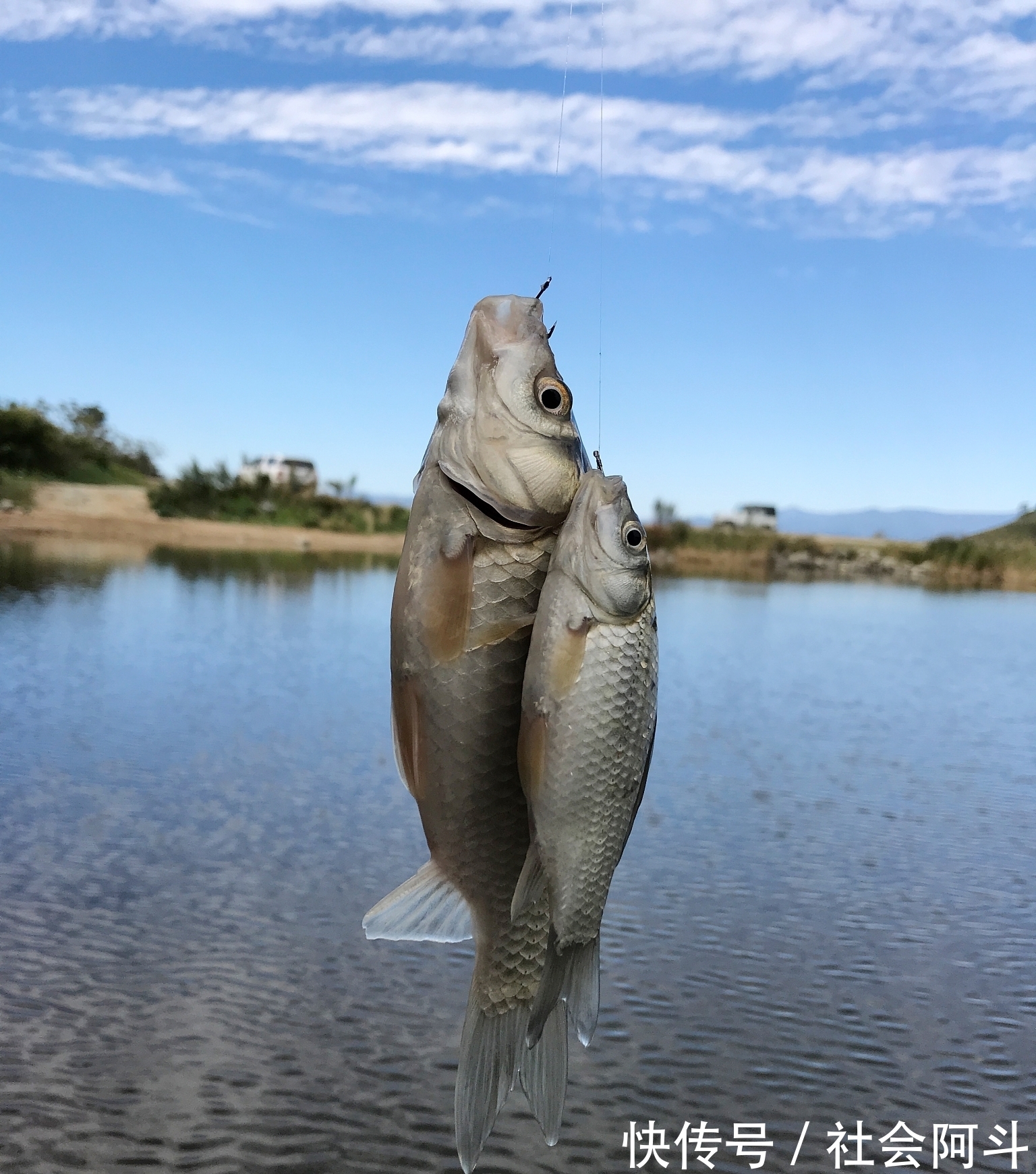 江西一男子野钓遇“怪鱼”,惊喜变成了惊吓,到底怎么回事?