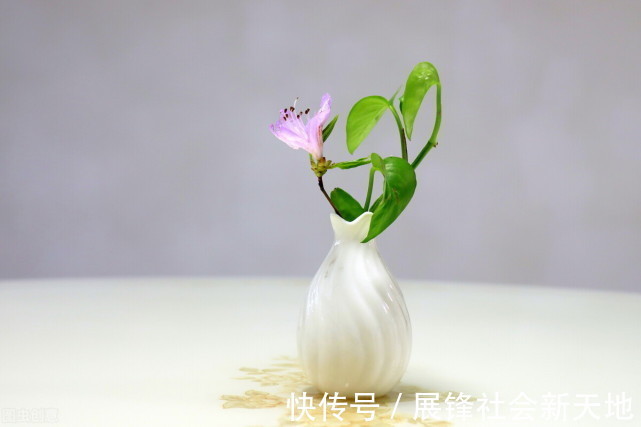 红薯|高血压患者能吃红薯吗？家有老人的要多注意，别因无知酿成大祸