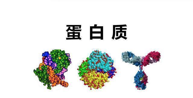 鸡蛋|早晨吃鸡蛋，要避开这三个误区，长期吃错危害大