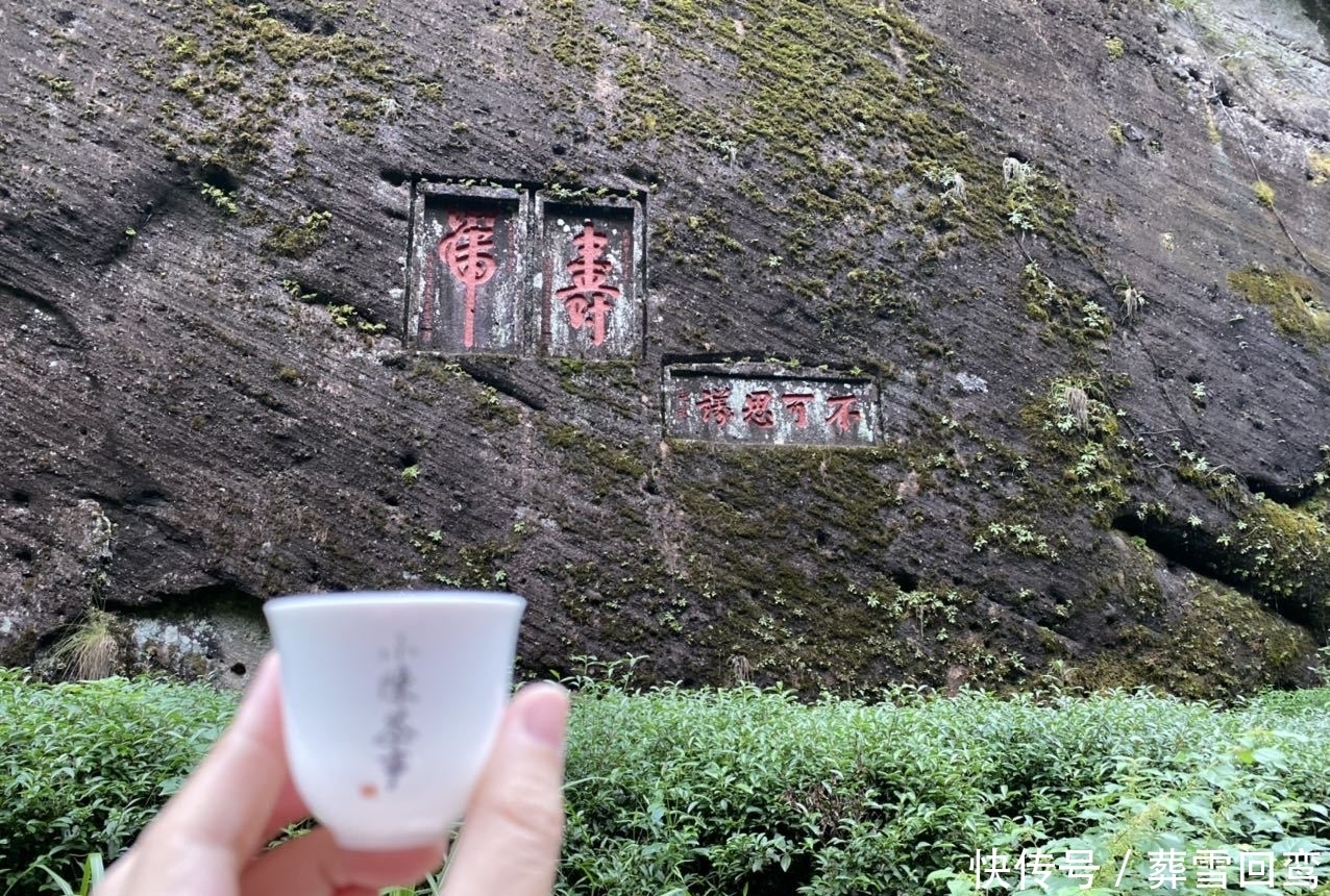 春节喝茶,福建人一般拿什么岩茶待客?水仙、肉桂还是大红袍?
