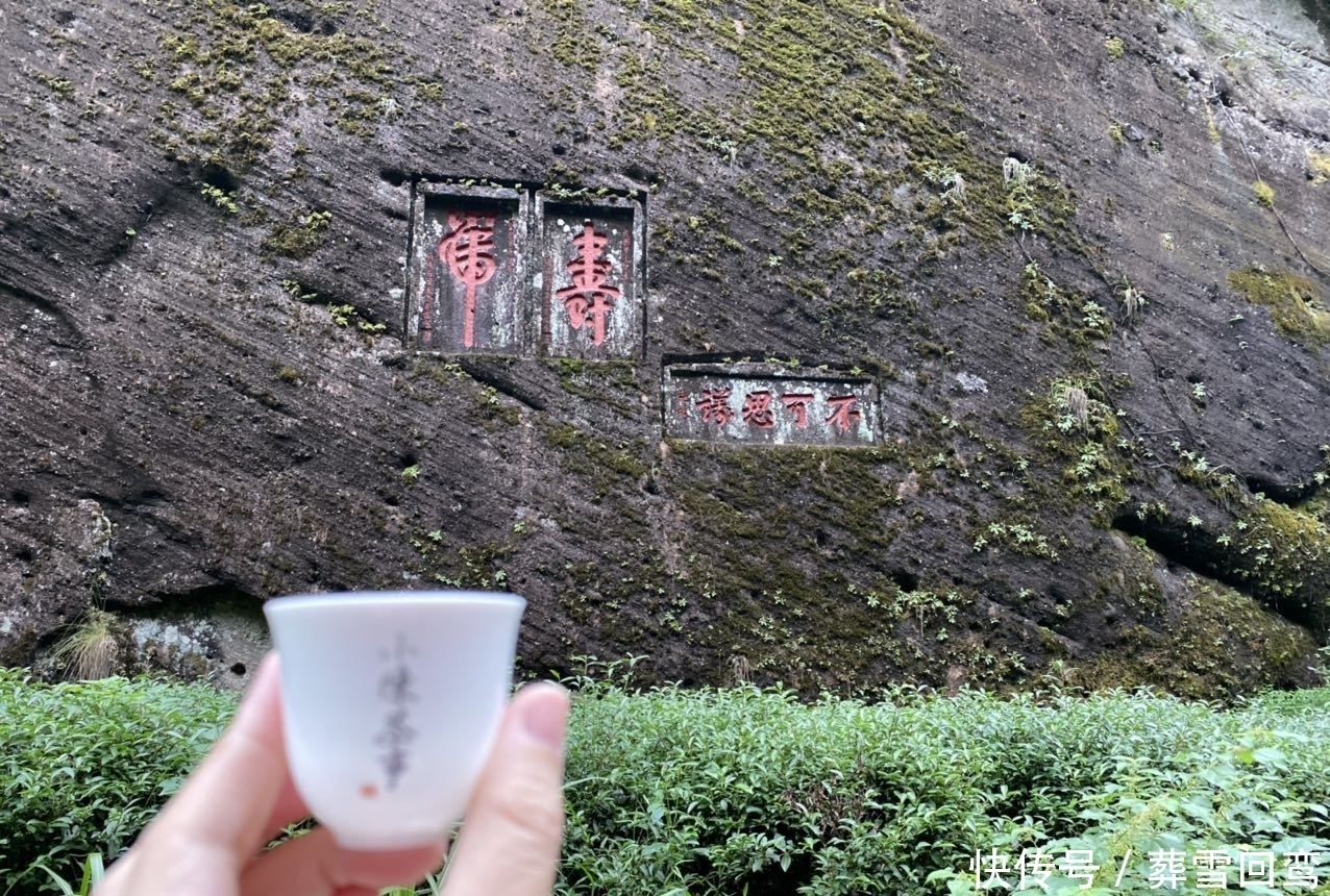  春节喝茶，福建人一般拿什么岩茶待客？水仙、肉桂还是大红袍？