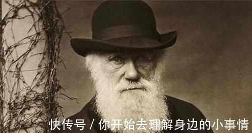 达尔文|高智商的孩子,大多有3个“怪癖”,家长不要“胡乱”管教