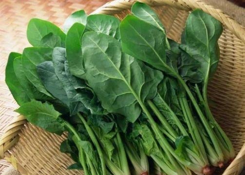 蜂蜜|豆腐和此物一起吃,相当于“慢性吃毒”,现在知道还不算晚