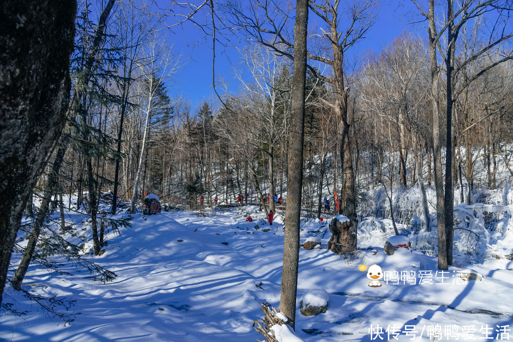 风车|雪山上风车像童话世界，冰凌谷徒步穿越，自由行游客却容易错过