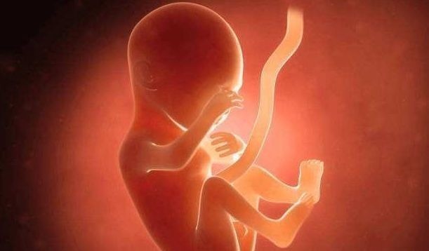 怀孕|如果此“信号”怀孕的人有,表明婴儿发育良好,你感觉到了吗?