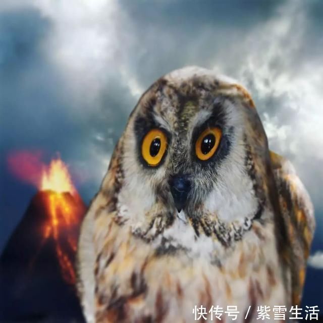 花式秀！儿子画成什么样，爸爸就能P成什么样子，花式秀父爱坐拥百万粉丝