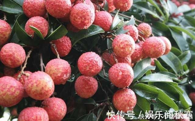 芒果|过了夏天后,3种水果最好少吃,吃多会引起癌症,尤其最后一种