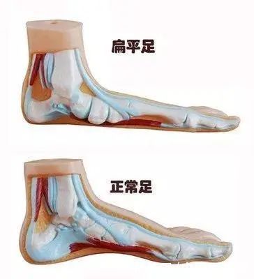 应征公民体格检查标准|最新征兵体检攻略来了！