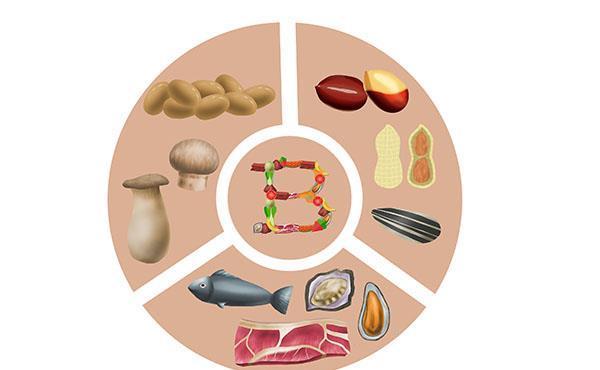 头发|长出来的白发,还能变黑吗?白头发多,该怎么吃?和你聊一聊