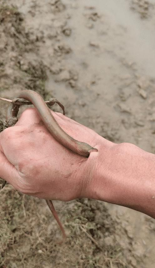 爬上来|“和朋友吃火锅,谁先爬上来谁先吃”我更关心怎么拿上来的……