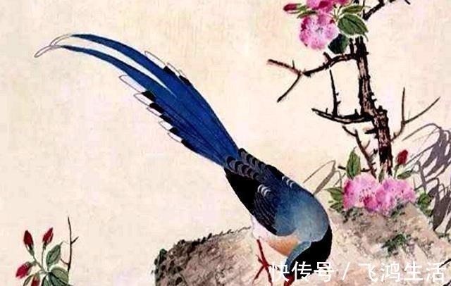 蓬山#宋祁文采风流,仁宗成人之美,全亏了《鹧鸪天》这首词传递信息