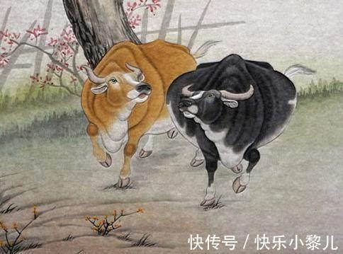 生肖兔生肖兔|1月11号开始,财运格外旺盛,3生肖贵人相助,运势一片大好